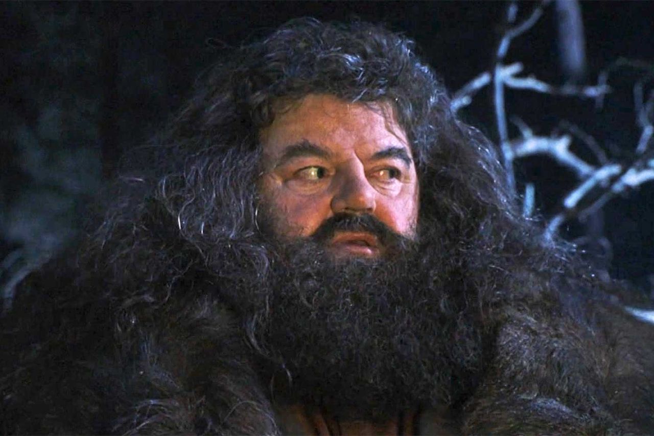 Harry Potter and the Sorcerer's Stone - Hagrid