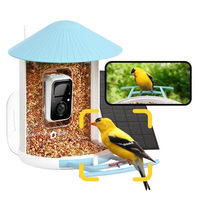 Birdfy Smart Bird Feeder with Camera Solar Powered