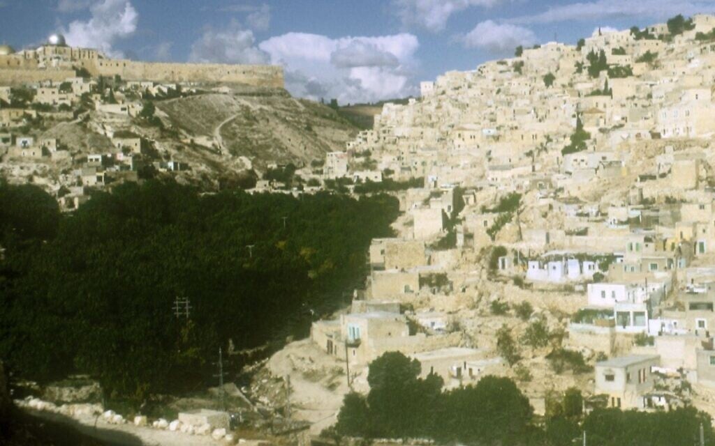 Trees cover the East Jerusalem neighborhood now known as Al-Bustan, in a photo taken in 1976. (Dan Hadani/IPPA via National Library of Israel)
