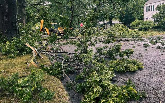Severe storms slam western New York, leaving outages, fallen trees, and a yellow alert