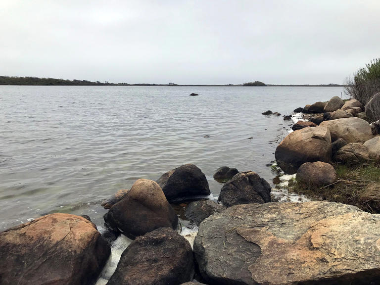 try-these-7-freshwater-swimming-spots-in-rhode-island-this-summer