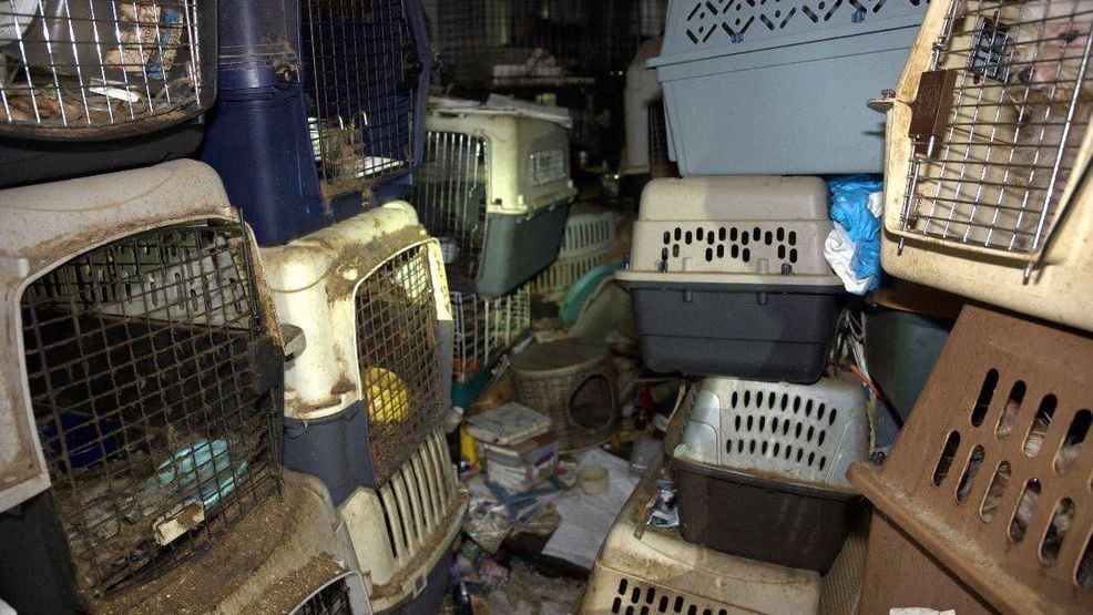 Pet reunions planned after massive Martin County animal rescue, new body cam released
