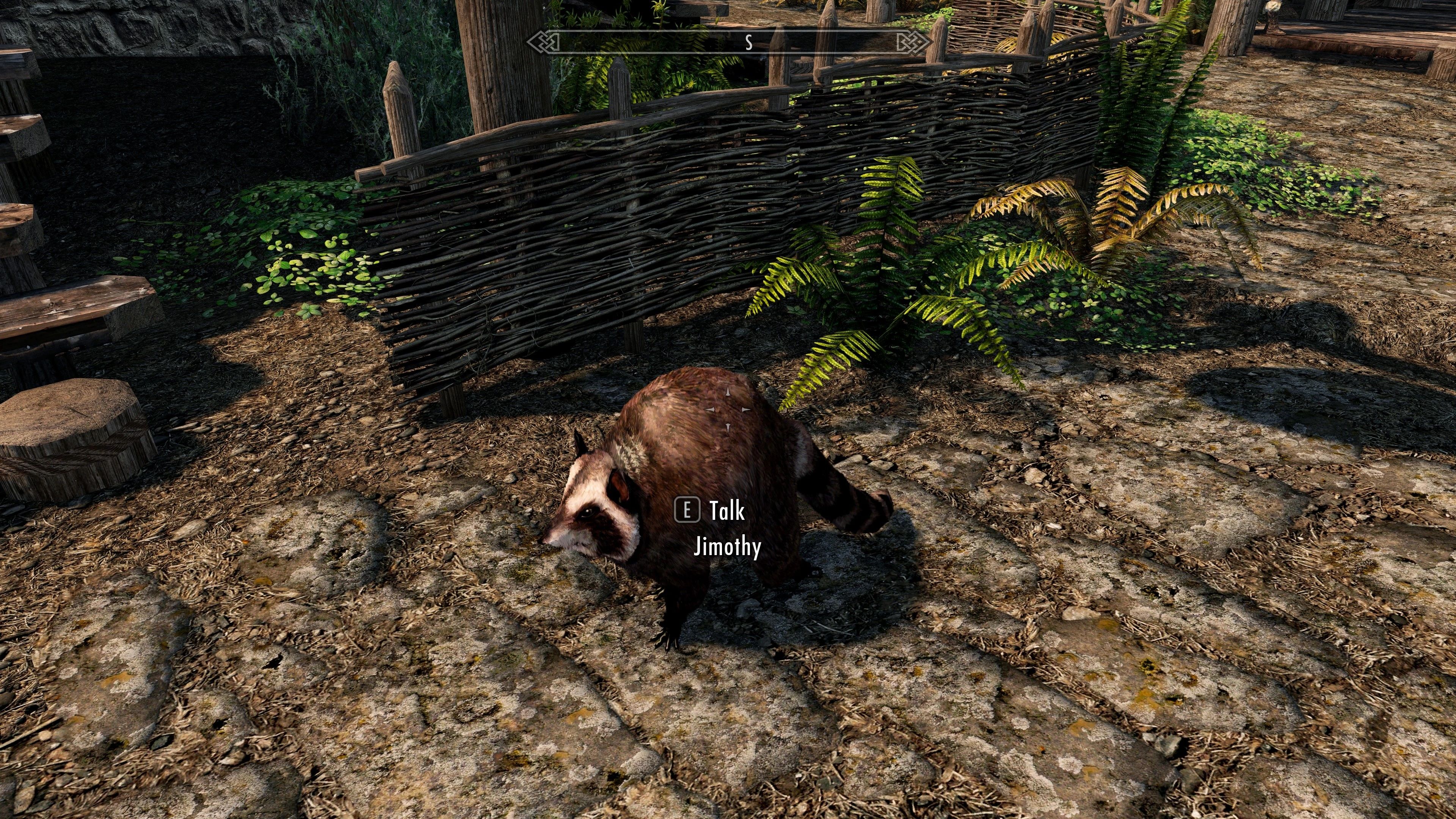 Game devs are scrambling to put Jimothy the viral raccoon in everything from Skyrim to Stardew Valley
