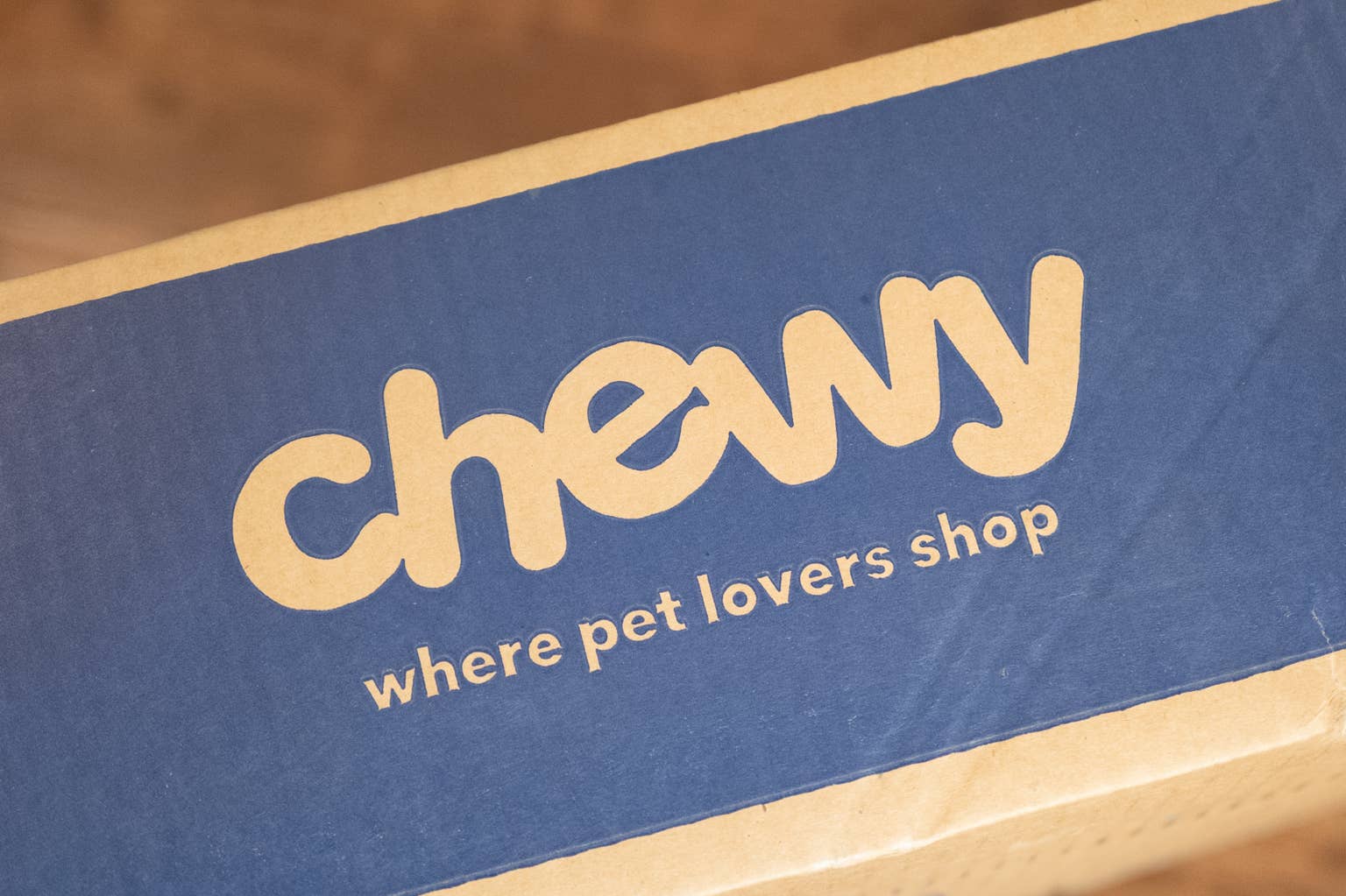 Chewy's cloud-themed cat tunnel bed lets kitties nap, play, and explore all in one