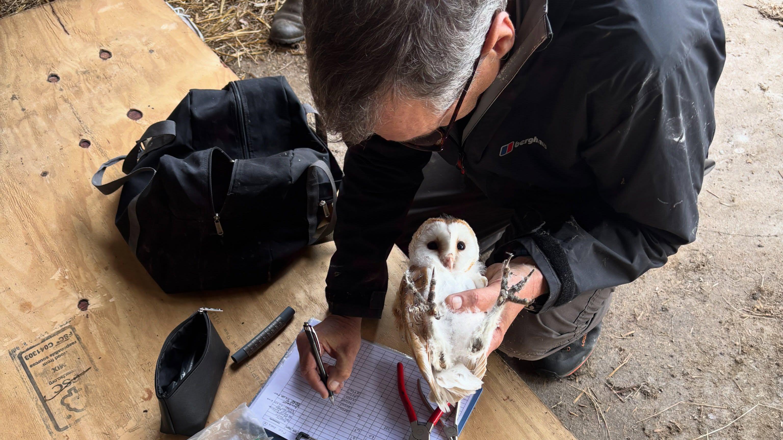 Simon Dudhill said finding six owlets together was "exceptionally good"