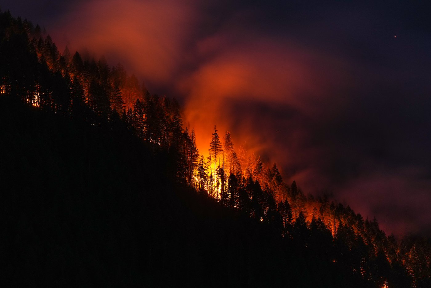 Major highways shut amid plea for Fraser Canyon residents to flee wildfires