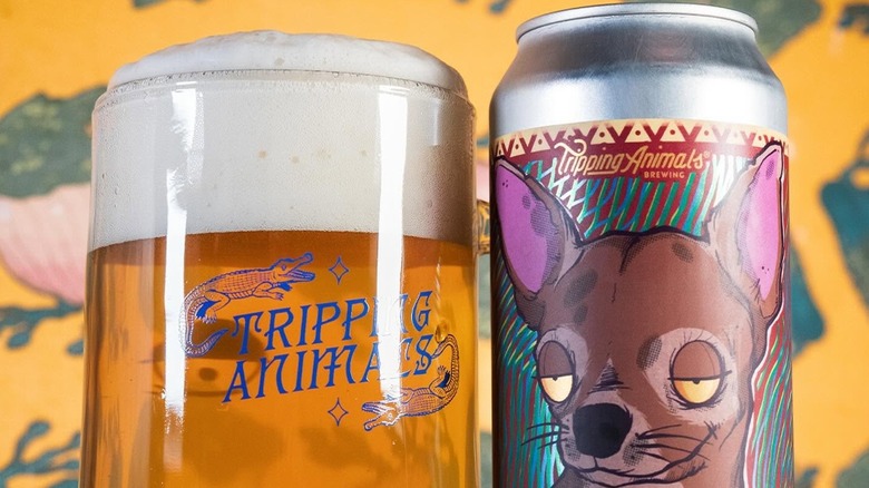 Close-up of a can and glass of Tripping Animals No Mames Lager