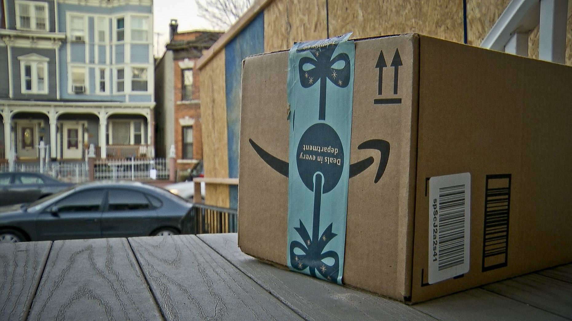 Rattlesnake hiding under Amazon package bites California toddler