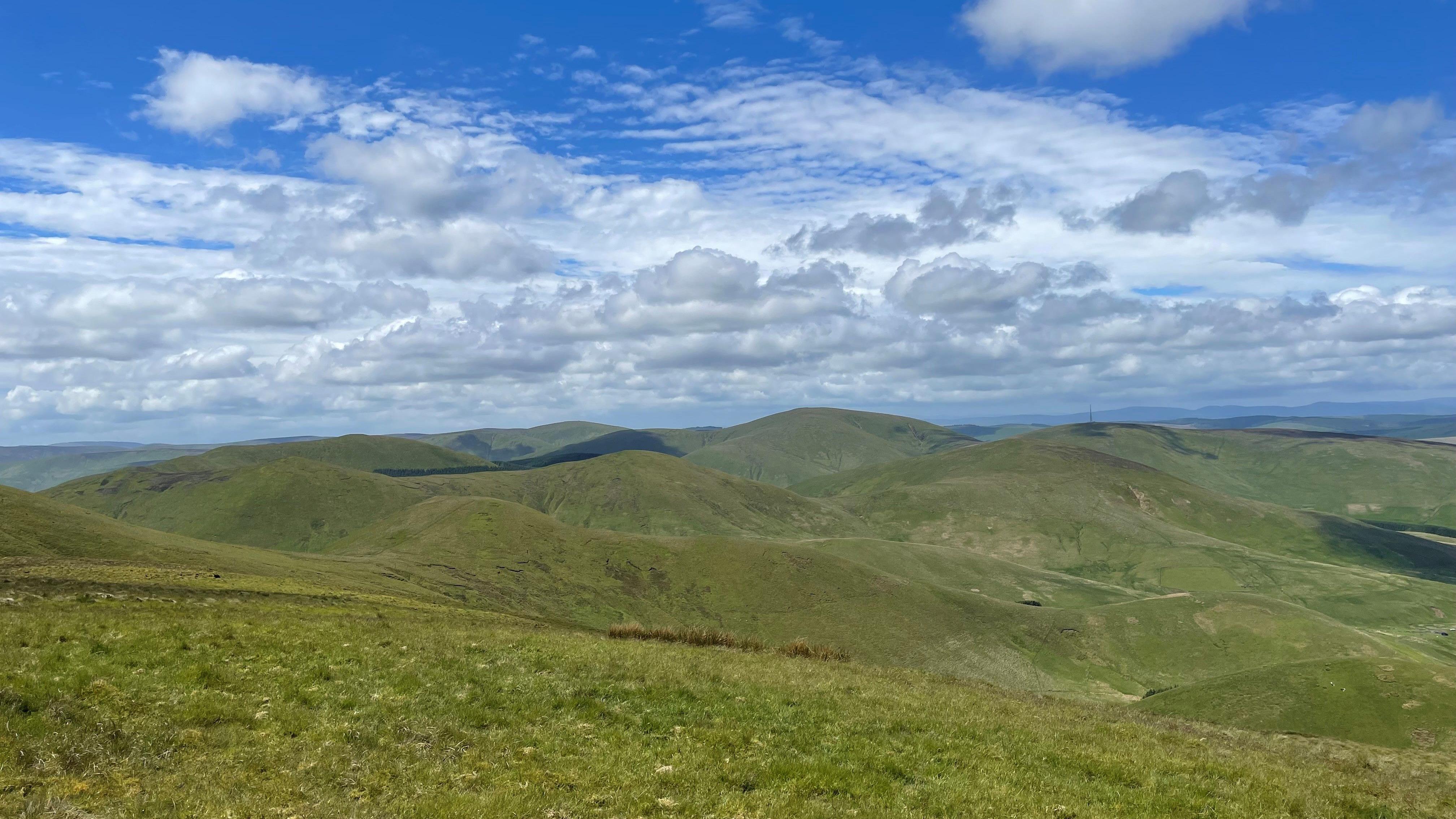Muirhall Energy wants to build the wind farm near Hawick