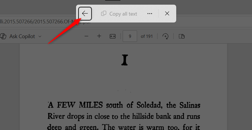 The back arrow in the Windows Text Actions menu to take the user back to regular screen capture controls.