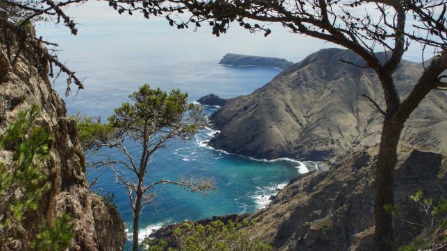 Porto Santo - On the way to Pico Branco.