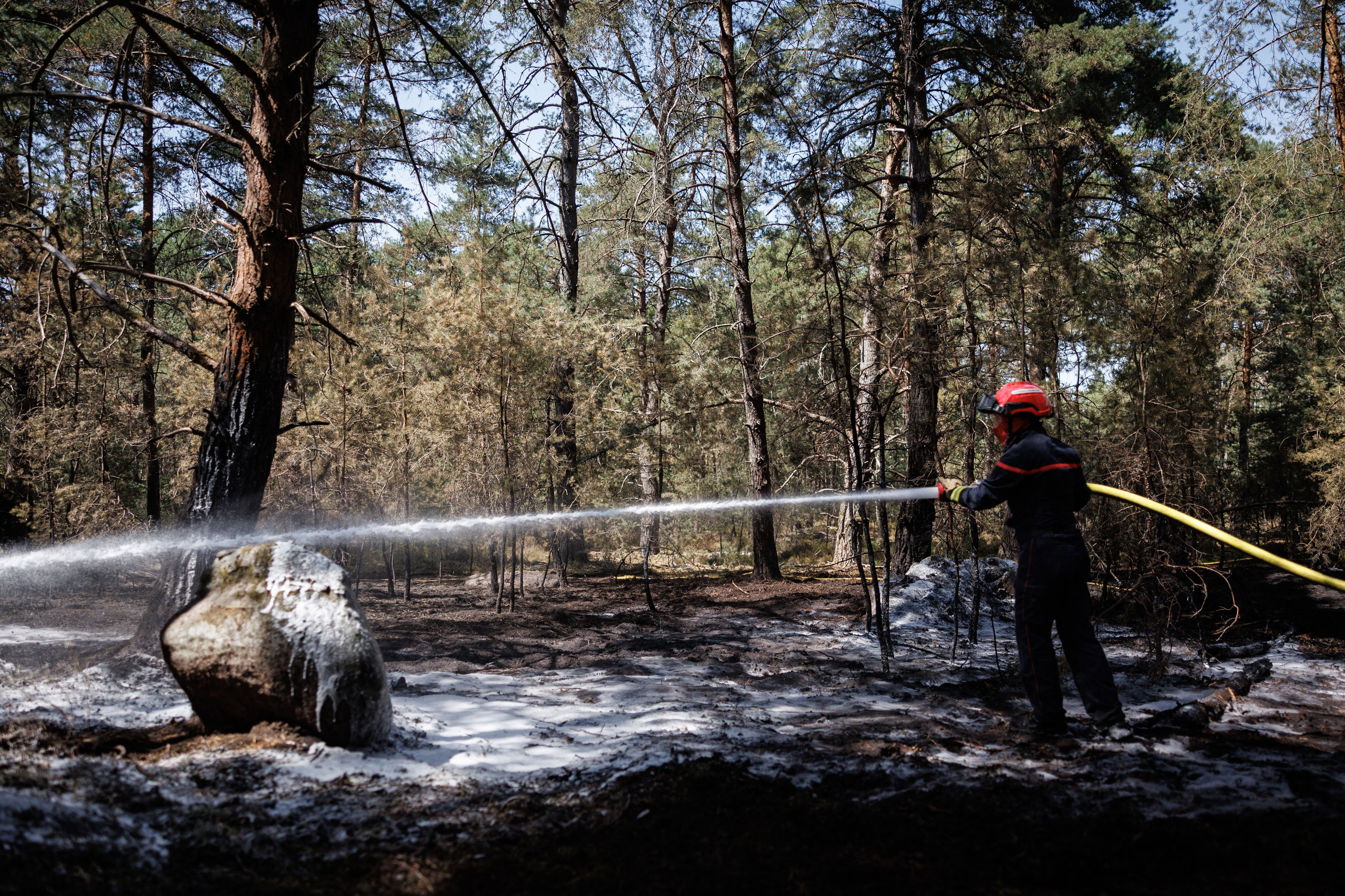 A French firefighter extinguishes a flare-up in the Fontainebleau Forest, one of multiple fires throughout France (AFP/Getty)