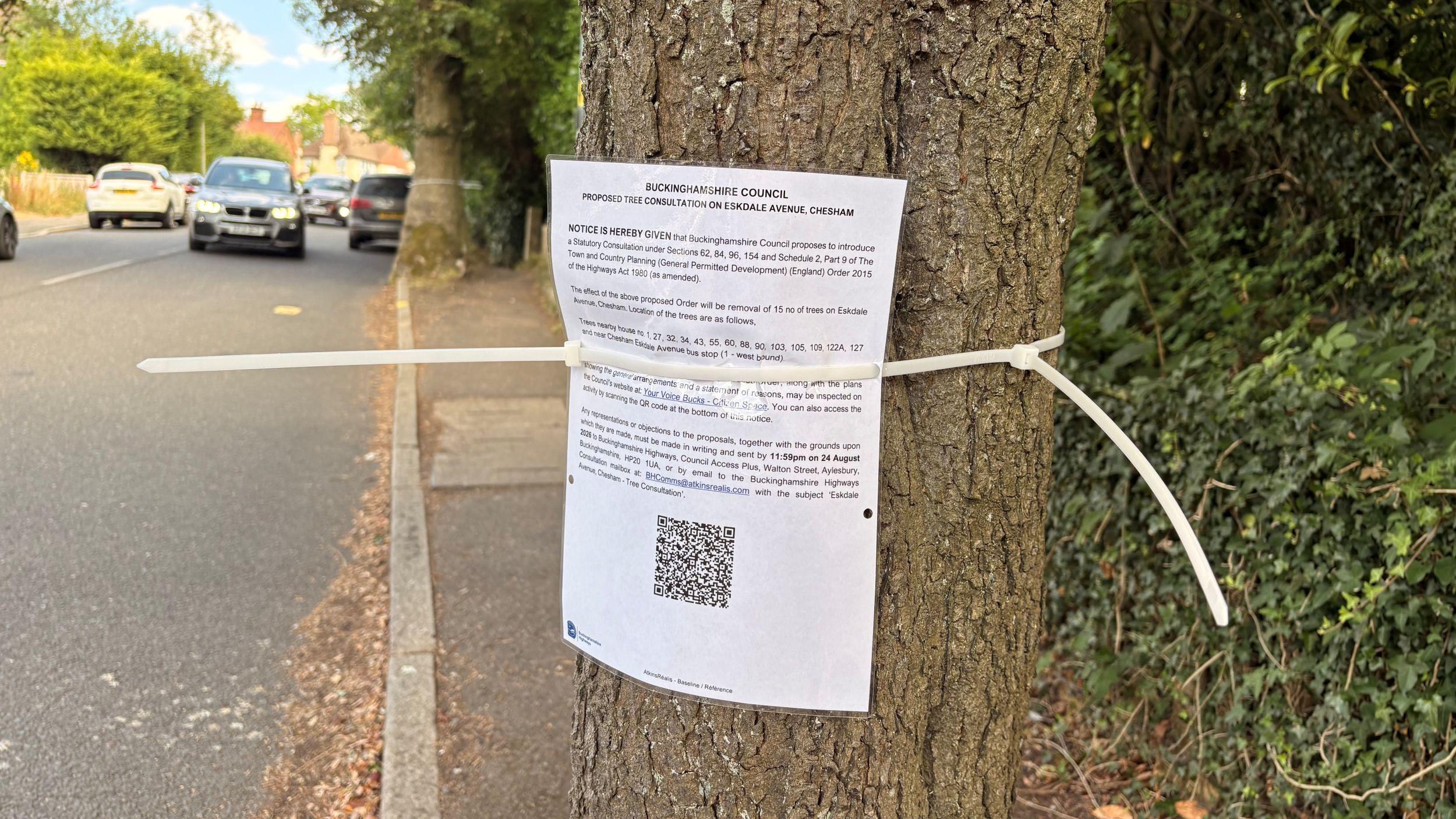 Buckingham Council wants to fell 15 trees in Chesham