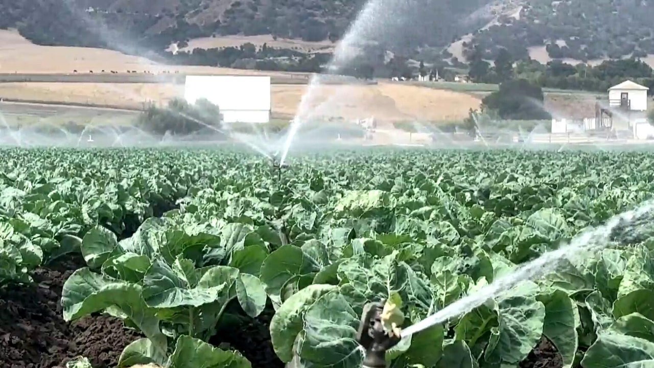 Monterey County faces possible crisis due to overuse of water basin