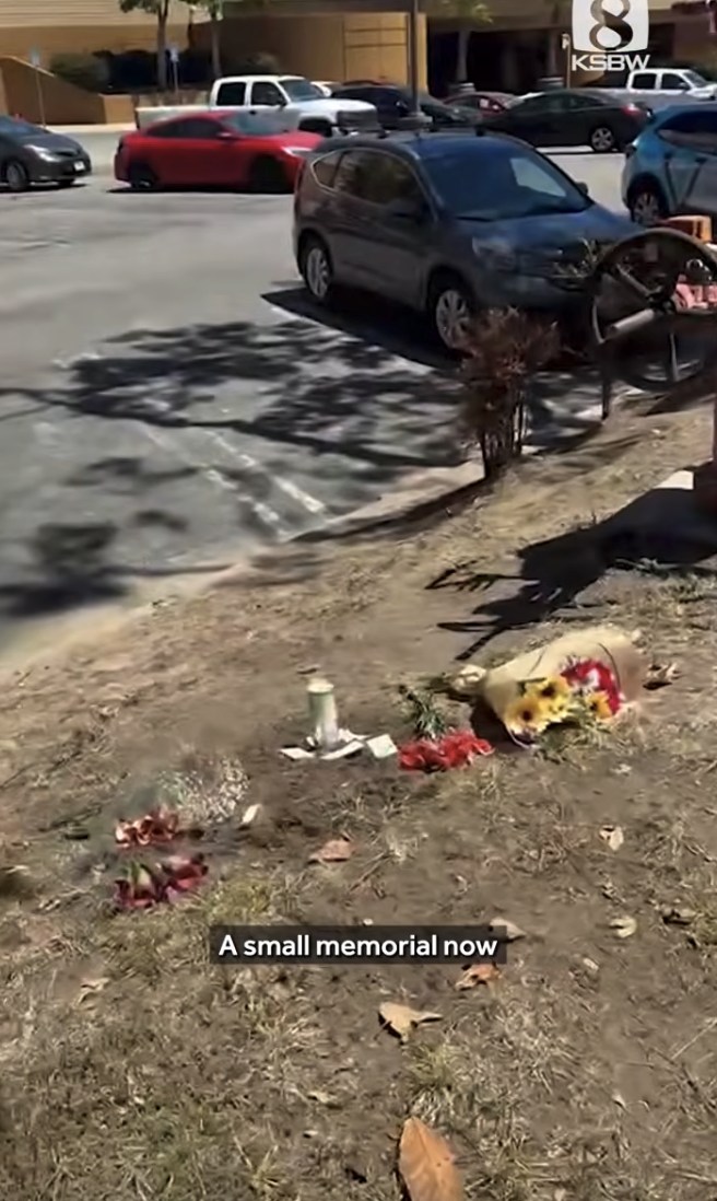 Beloved artist stabbed to death in attack by 19-year-old that’s rocked quiet California beach town