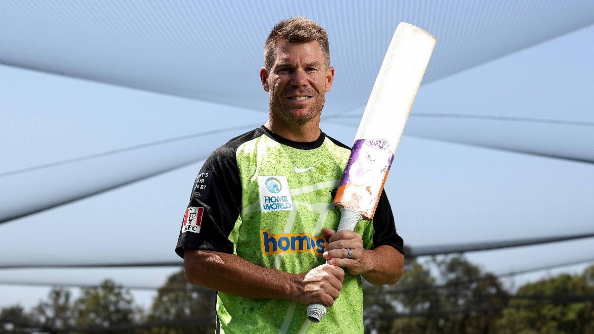 David Warner pleads guilty to drink driving, faces up to 9 months in jail