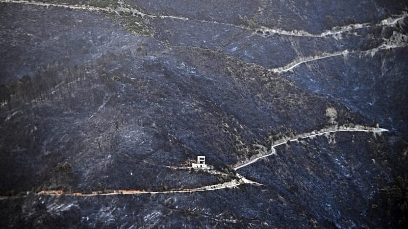 Six killed in Algeria forest fires: Interior Ministry