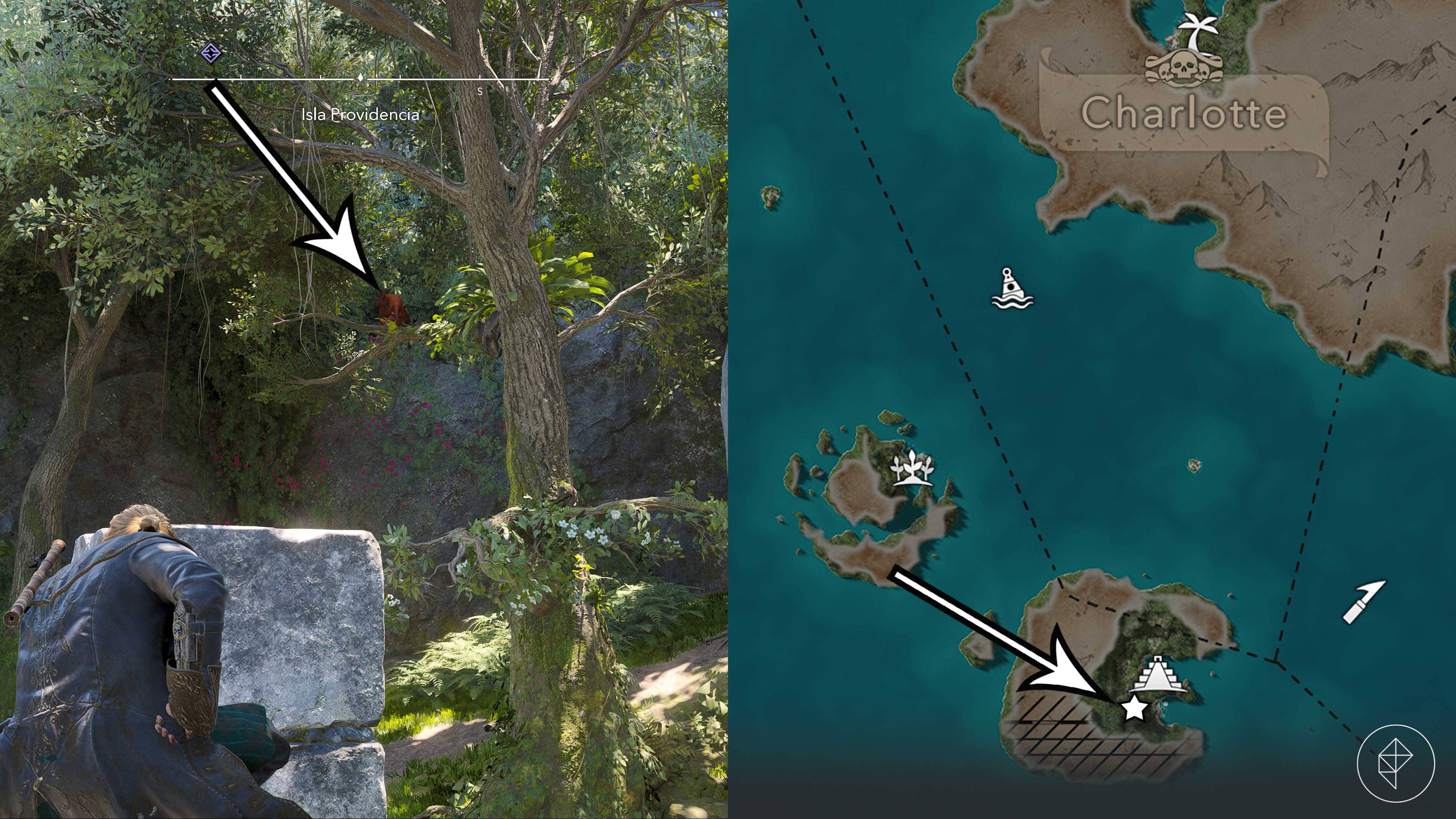 The red howler monkey's location in Assassin's Creed Black Flag Resynced.