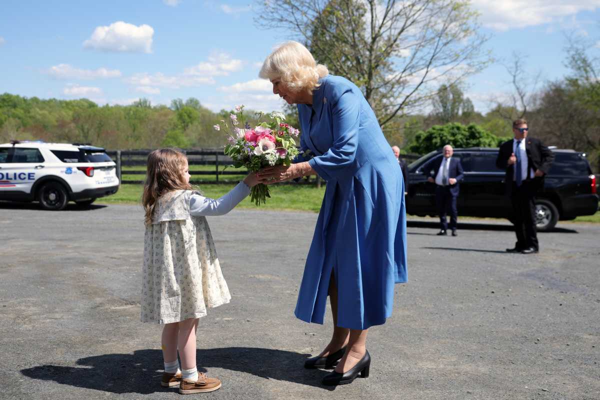 Britain's Queen Camilla is presented flowers from Violet Marek as she arrives at Smitten Farm, Thursday, April 30, 2026, in The Plains, Va. (Kevin Dietsch/Pool Photo via AP)