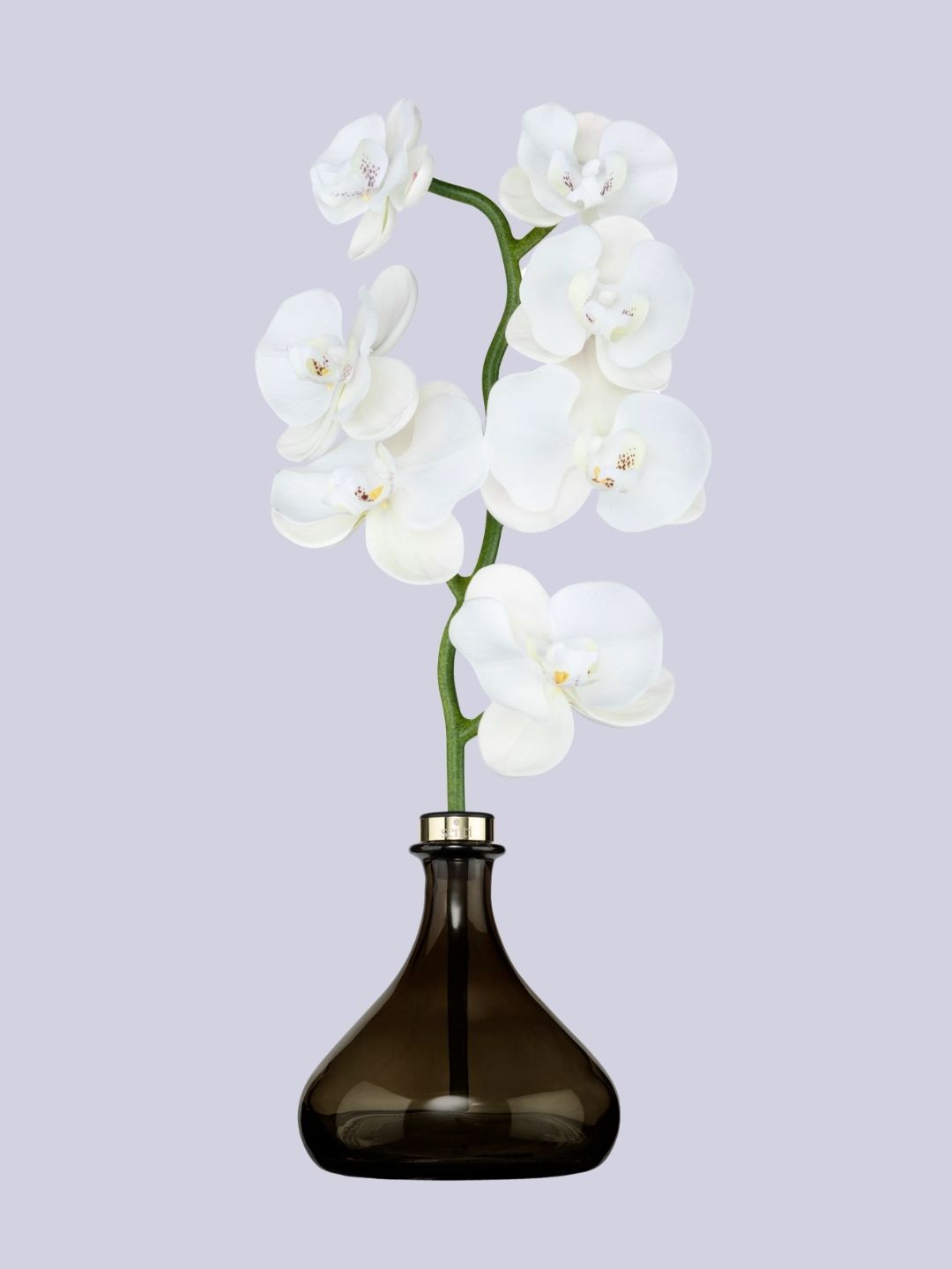 Senti, The Orchid Jasmine & Geranium Diffuser, 250ml