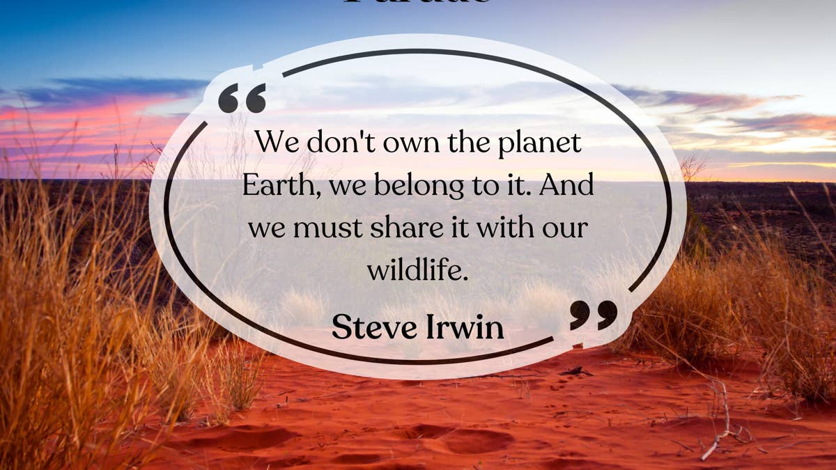 quote-of-the-day-steve-irwin-we-dont-own-the-planet-earth-we-belong-to-it-we-must-share-it-with-wildlife-card