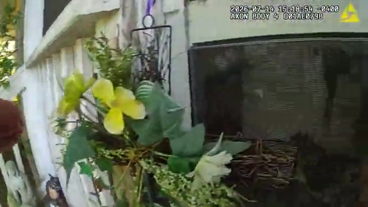 Pet Reunions Planned After Massive Martin County Animal Rescue, New Body Cam Released