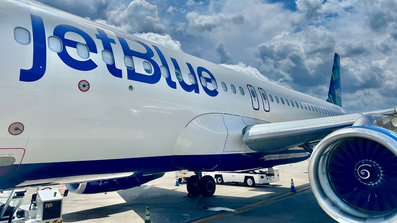 Air Passengers With A Serious Fear Of Flying Prefer This Affordable Airline Carrier For One Simple Reason