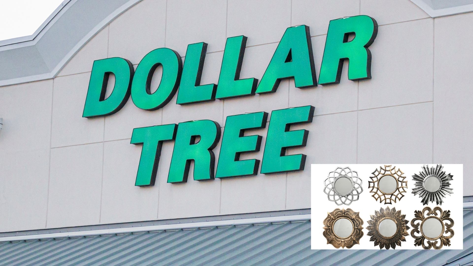 Get the Ann Patchett aesthetic at Dollar Tree for under $1.50