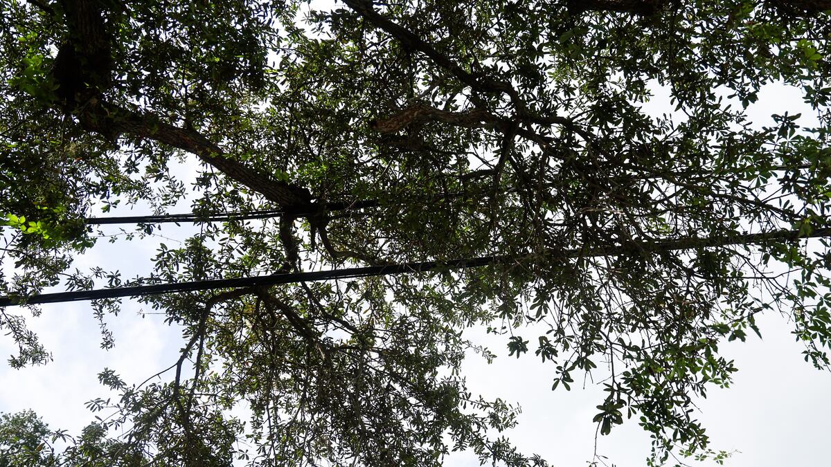 St. Petersburg council member skipped key Duke Energy votes. His district has concerns