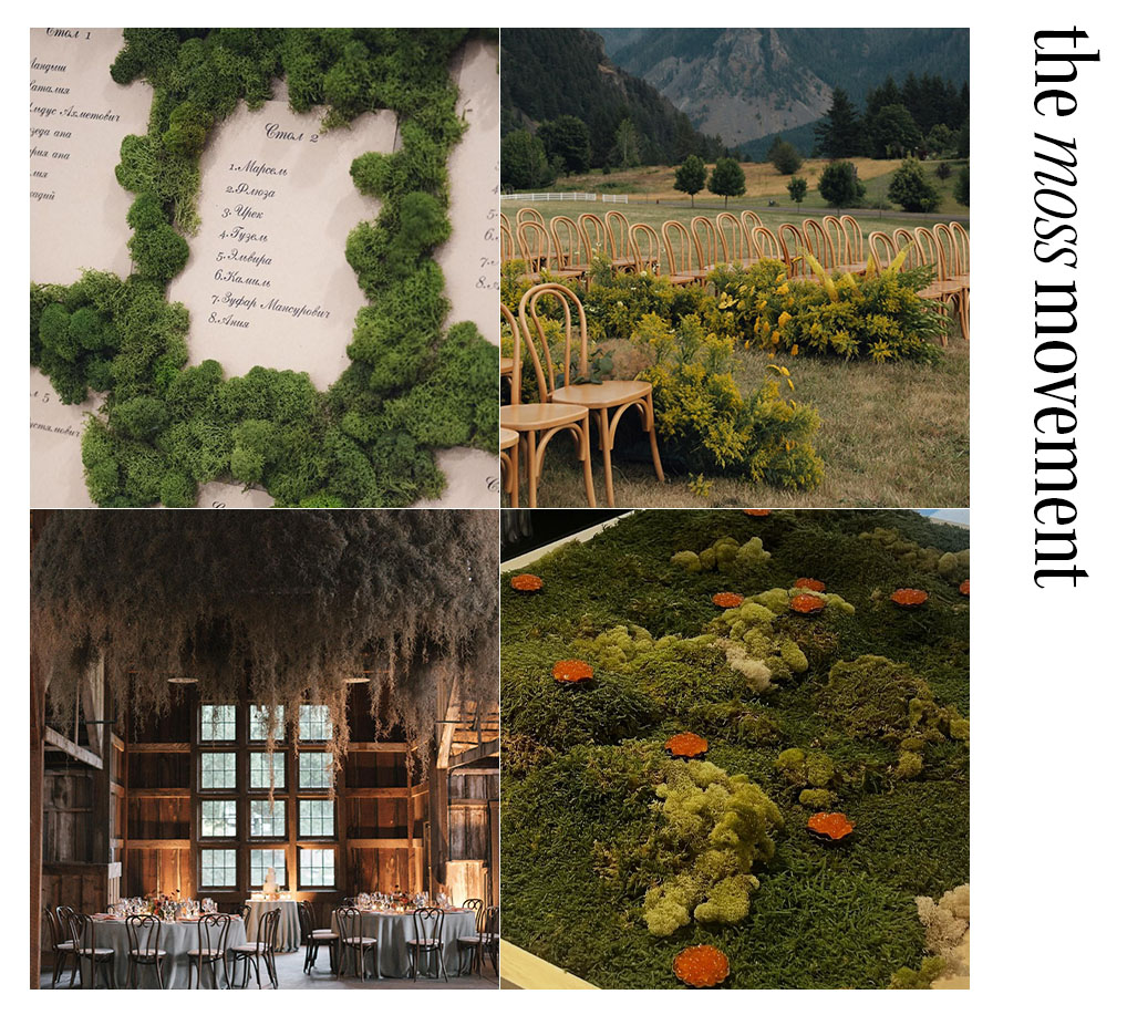 four images of moss as decor.