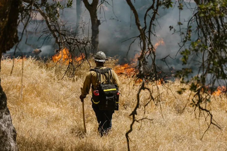 A wildland urban interface growing faster than almost anywhere else (Image Credits: Pexels)