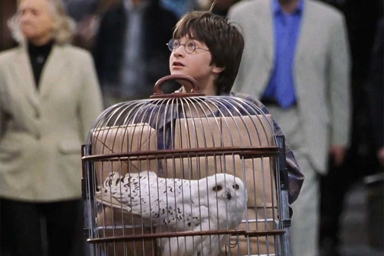 Harry Potter and the Sorcerer's Stone - Harry Potter