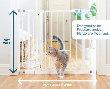 Cat walking through a baby gate in a hallway. Text highlights dimensions: 30