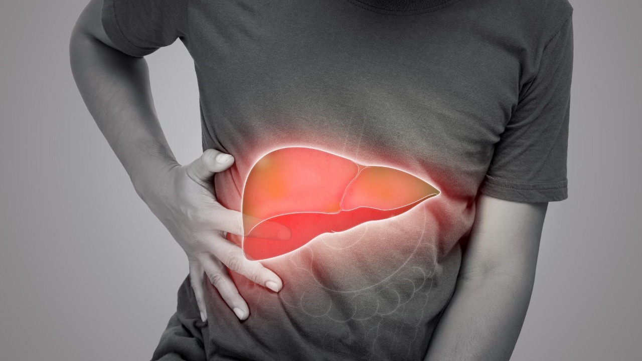 A gut-repairing drug reversed severe fatty liver disease in animal tests