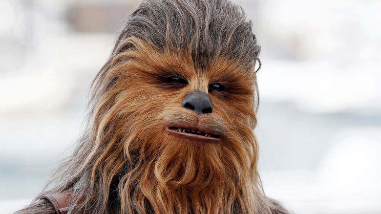 Star Wars: Return Of The Jedi's Ewoks Were Originally Planned As 'Short' Wookiees