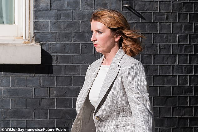 Louise Haigh will be spared the ignominy of tackling public sector fraud in her new brief, having been convicted of a similar offence herself