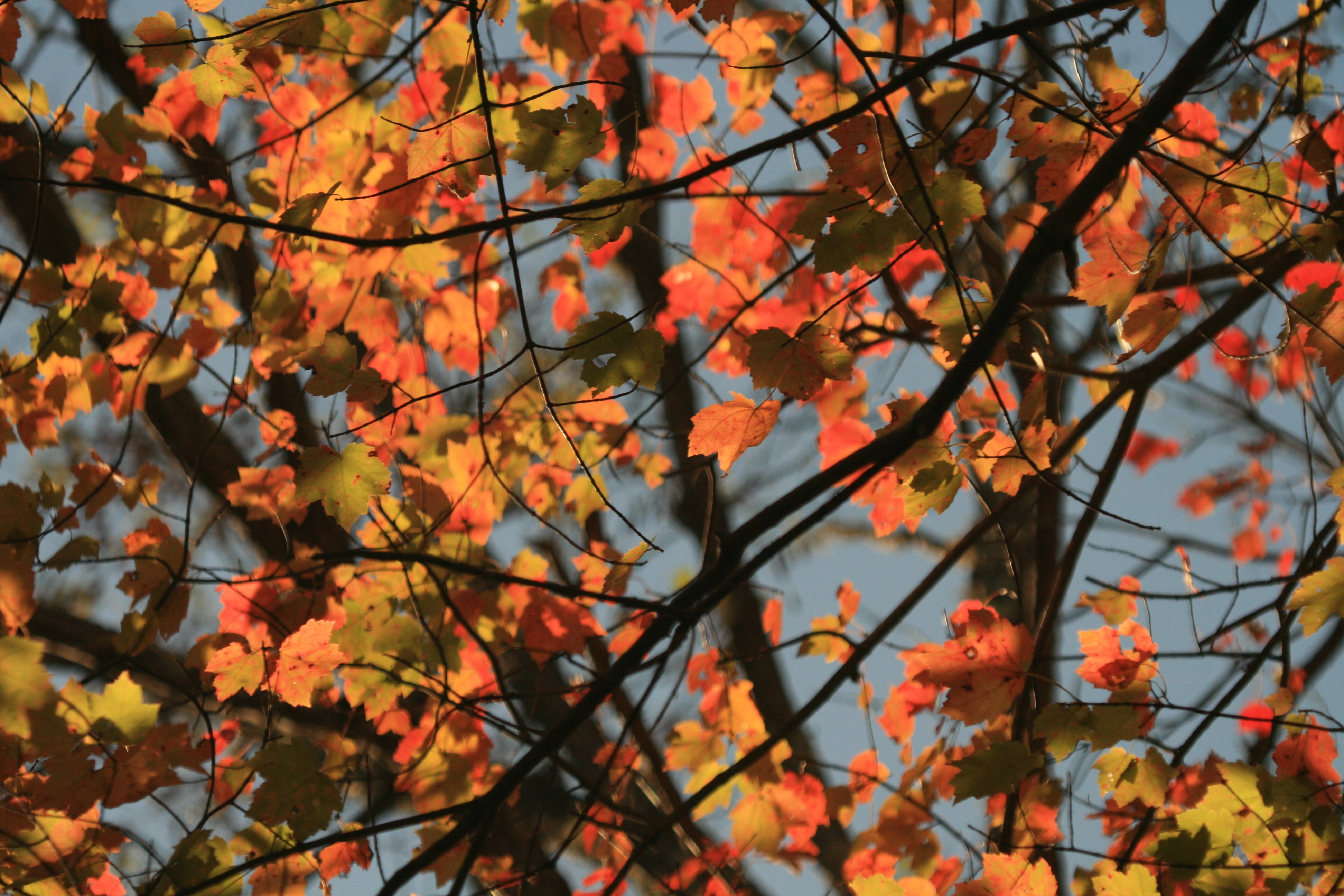 Fall arrives with cooler than average temperatures