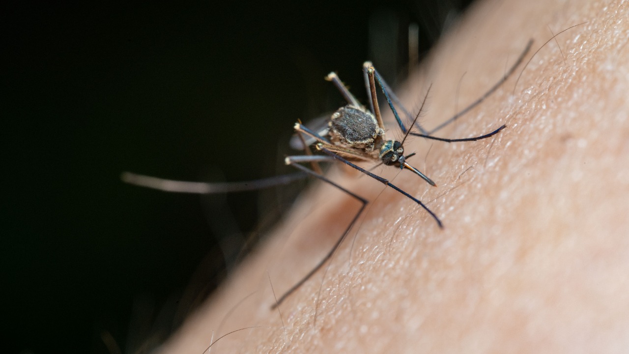 The season’s first West Nile cases have already put people in the hospital