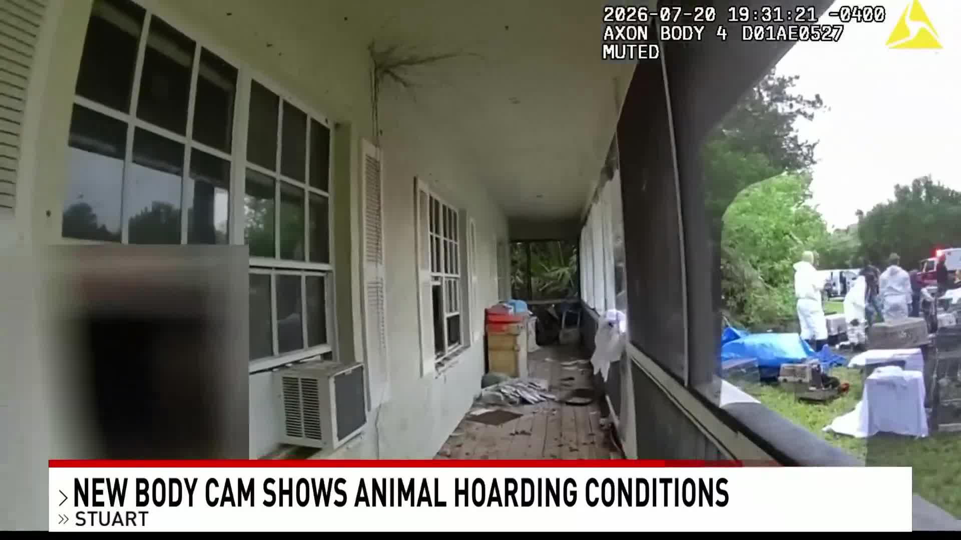Pet Reunions Planned After Massive Martin County Animal Rescue, New Body Cam Released
