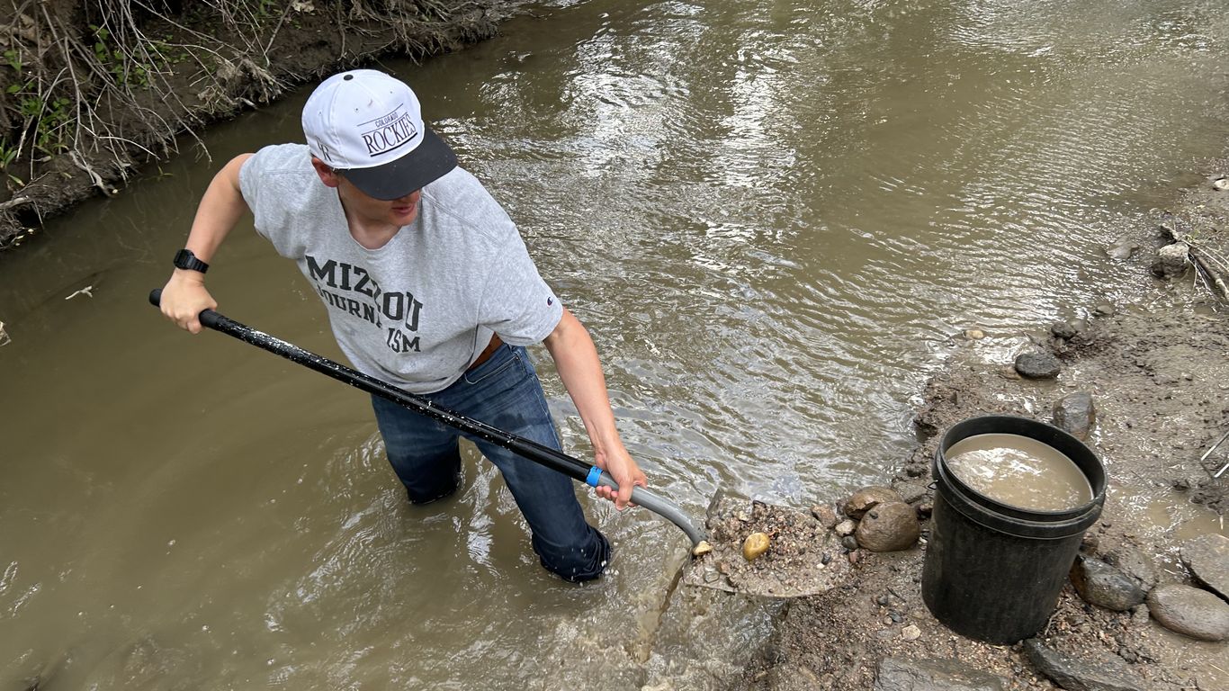 Looking for Colorado gold
