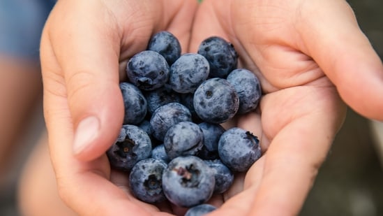 World Brain Day 2026: Neurosurgeon recommends brain-friendly foods to ...
