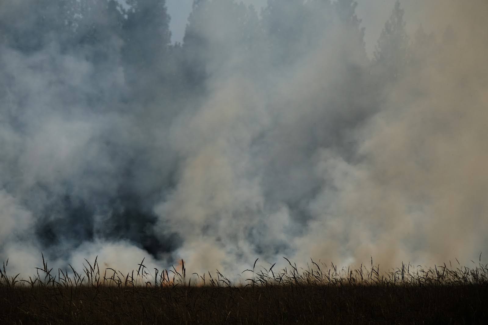 Fires, drought, put fishing on pause