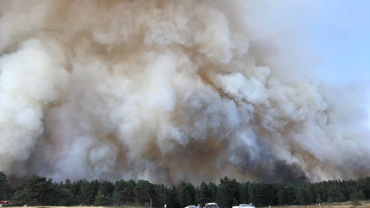 Canadian wildfire smoke choked skies over 115 million Americans this month
