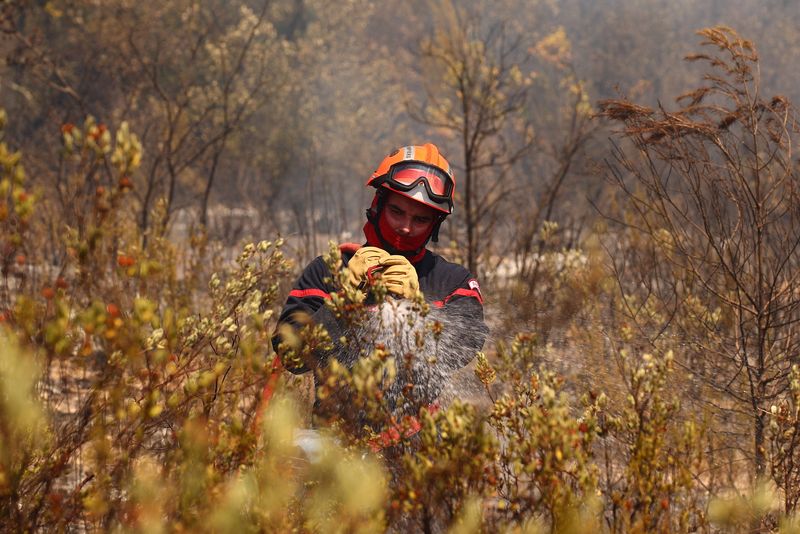 Wildfire in Cotignac in Var department