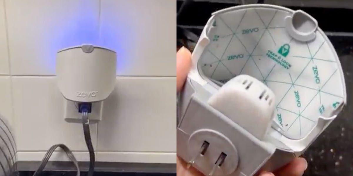 Got fruit flies? This genius gadget makes them disappear