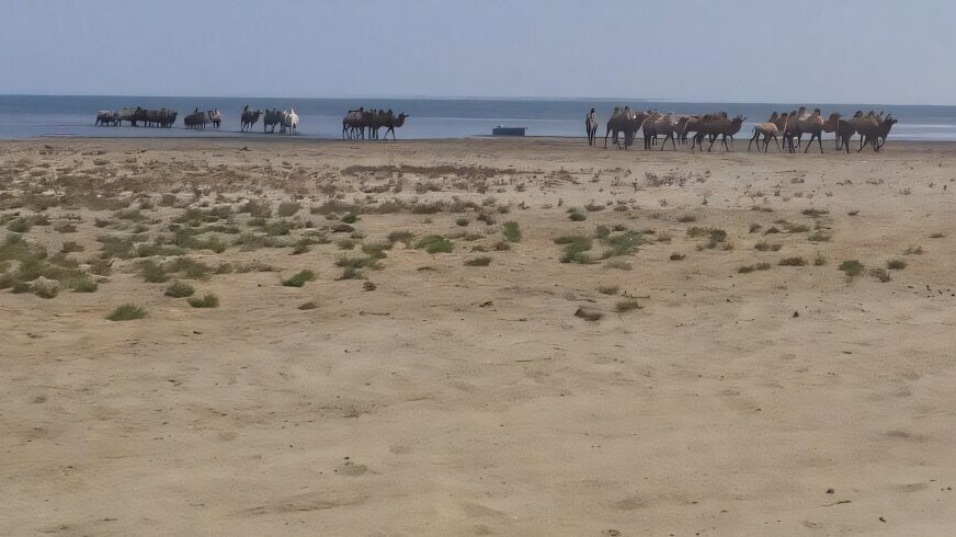 Reflooding the Aral Sea could prevent massive CO₂ emissions