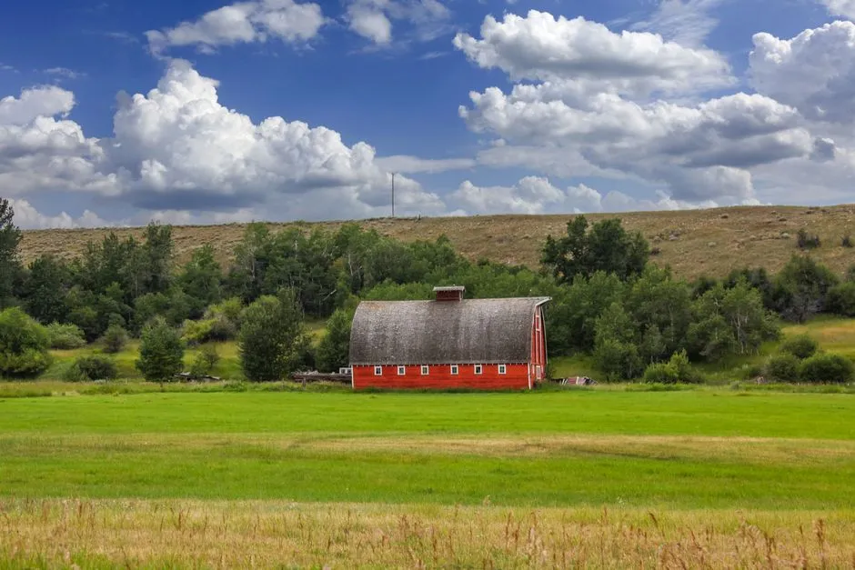 Montana (Image Credits: Pexels)