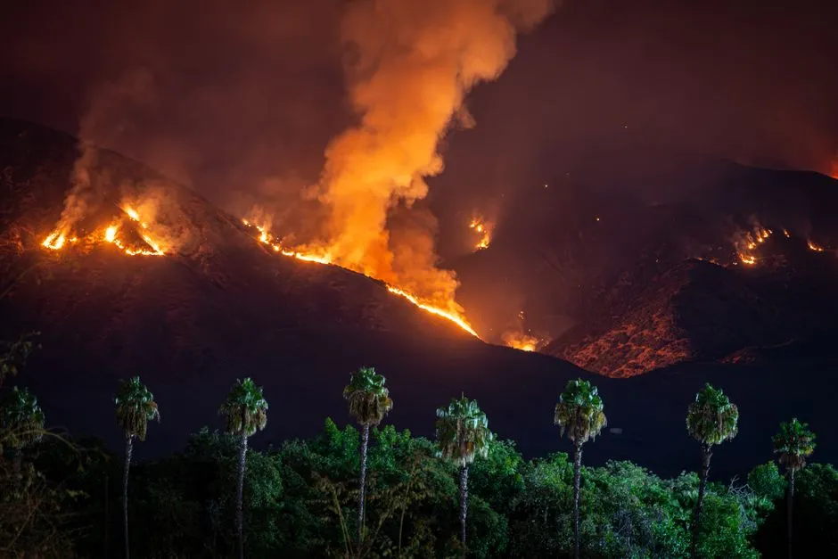 California (Image Credits: Pexels)