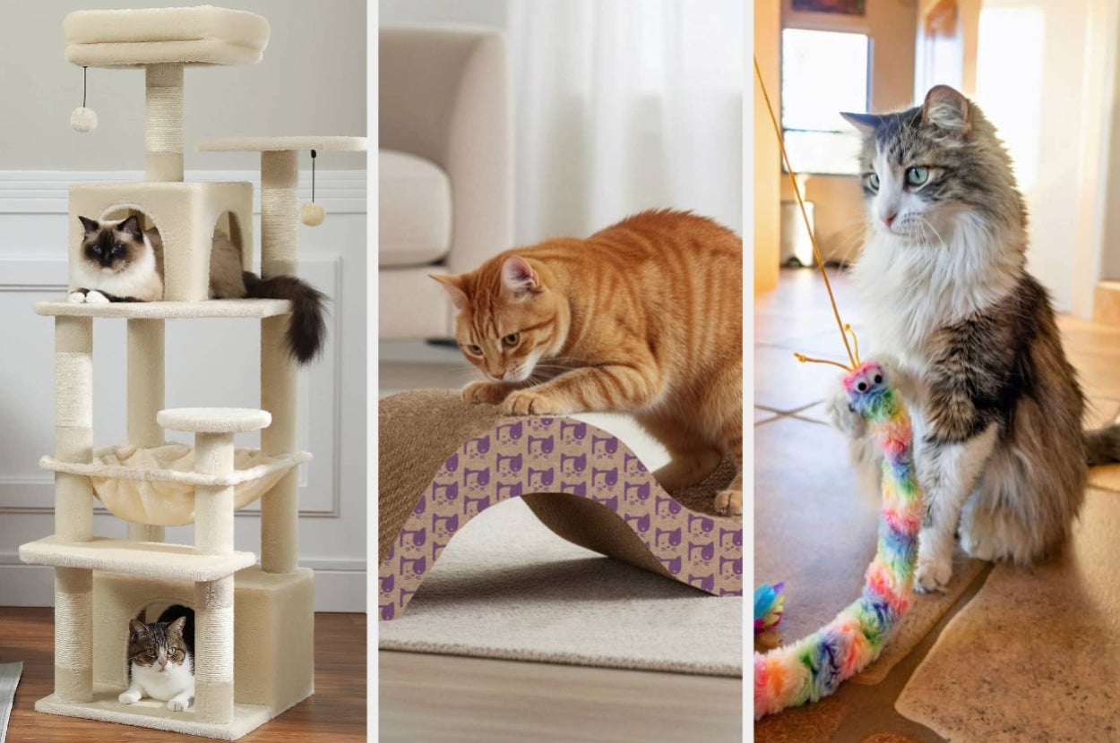 Anyone who thinks their cat is basically royalty needs these 30 Walmart products