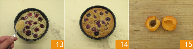 Buckwheat Cake with Apricots and Cherries